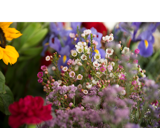 From Wildflowers to Wardrobe: Nature Inspires Every Design