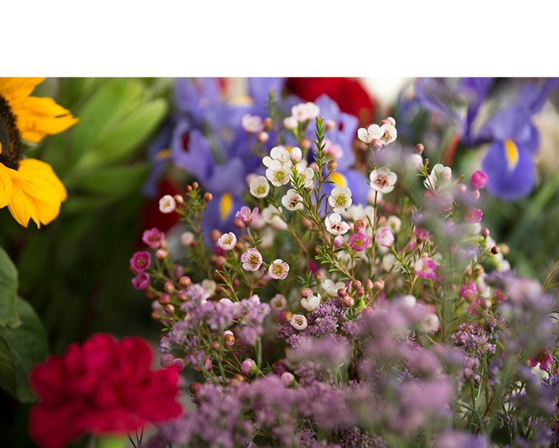 From Wildflowers to Wardrobe: Nature Inspires Every Design